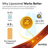 Vida Lifescience detalle liposomal muestra textura y mejor absorción