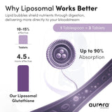 Vida Lifescience detalle del líquido liposomal que sugiere absorción mejorada