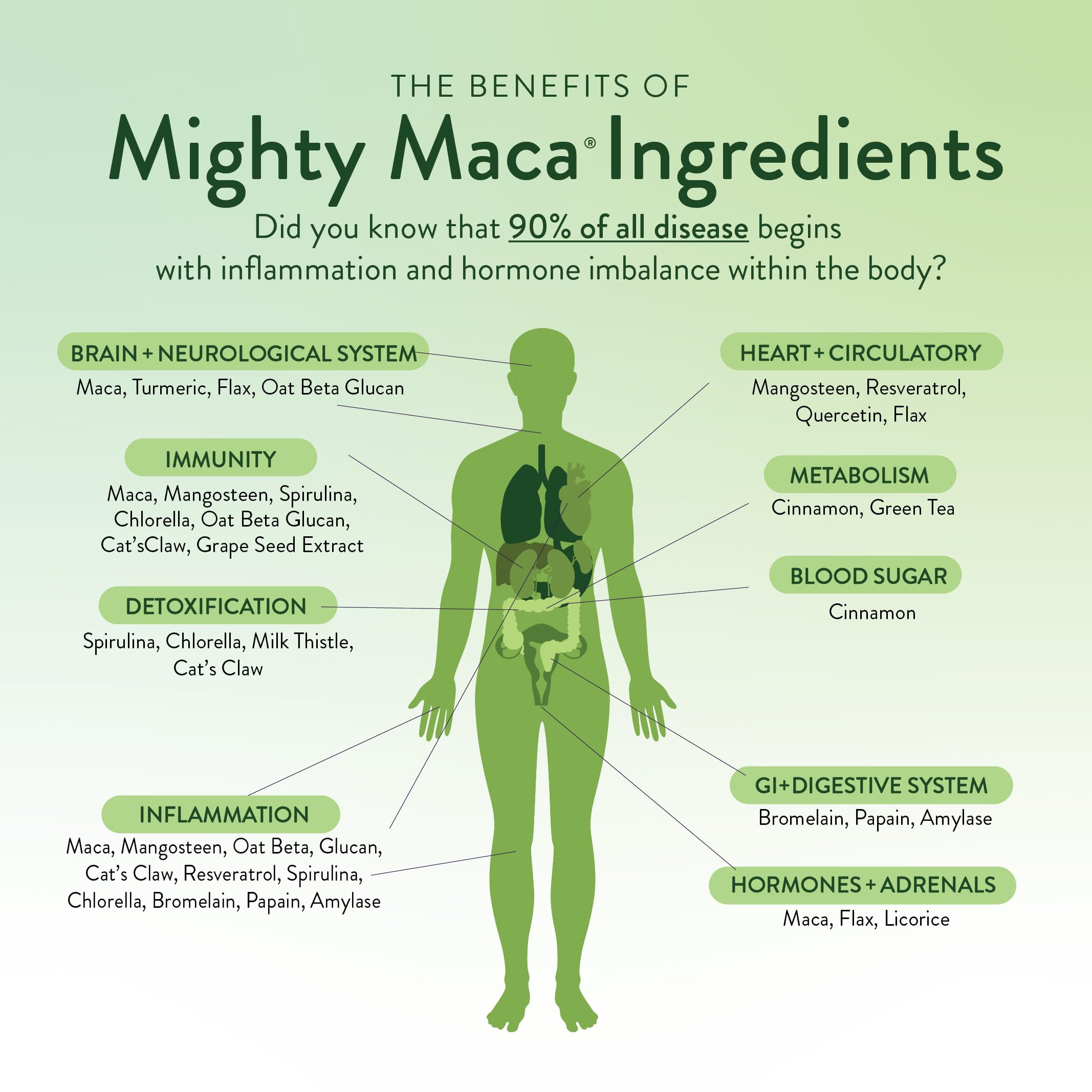 VIDAPURA ingredientes spirulina y chlorella resaltando aporte vegetal concentrado