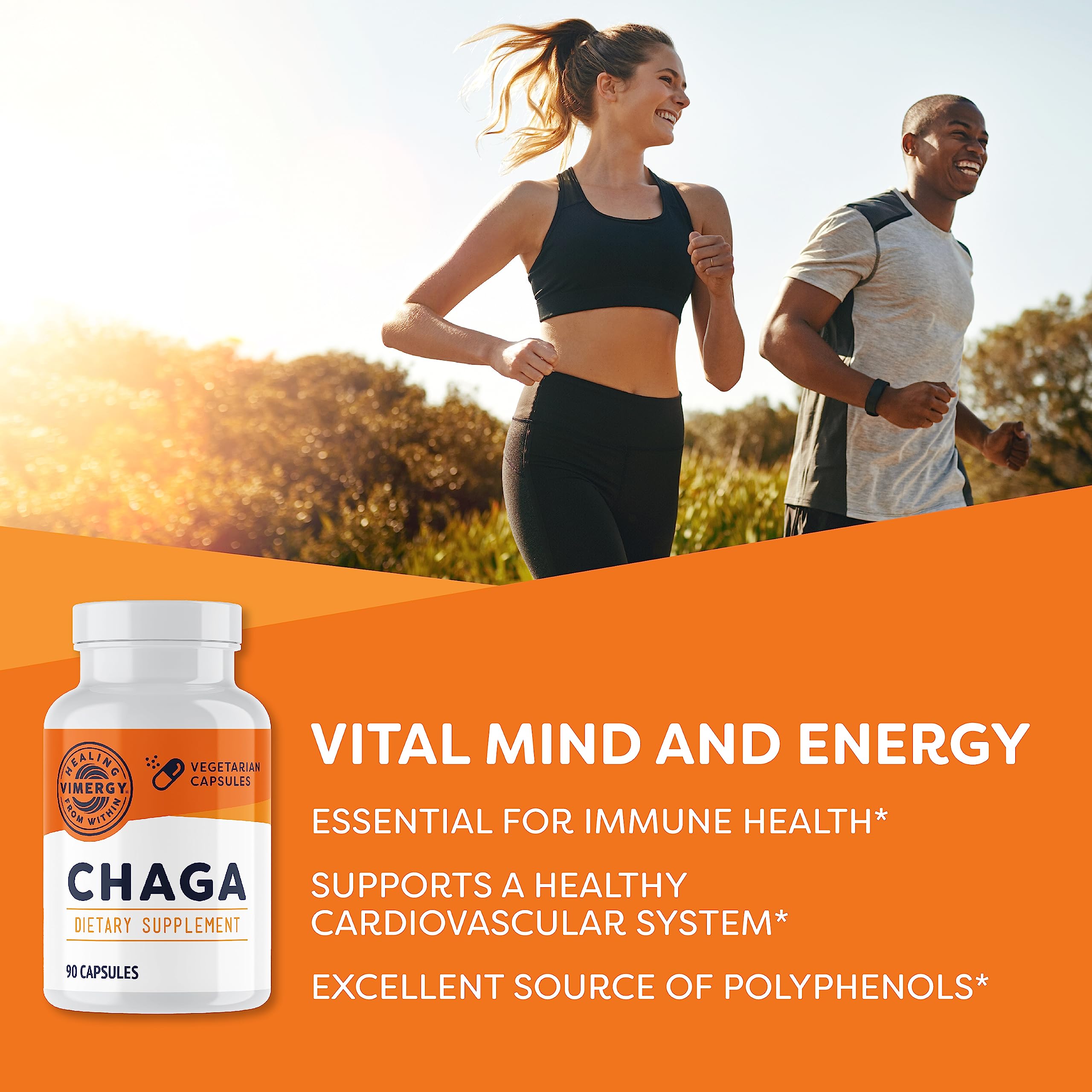Vimergy chaga primer plano polvo y textura para visualizar pureza y concentración