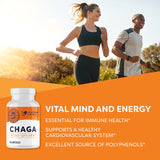 Vimergy chaga primer plano polvo y textura para visualizar pureza y concentración