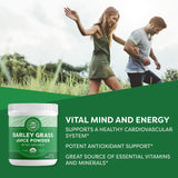 Vimergy primer plano del polvo verde liofilizado, alta concentración nutricional