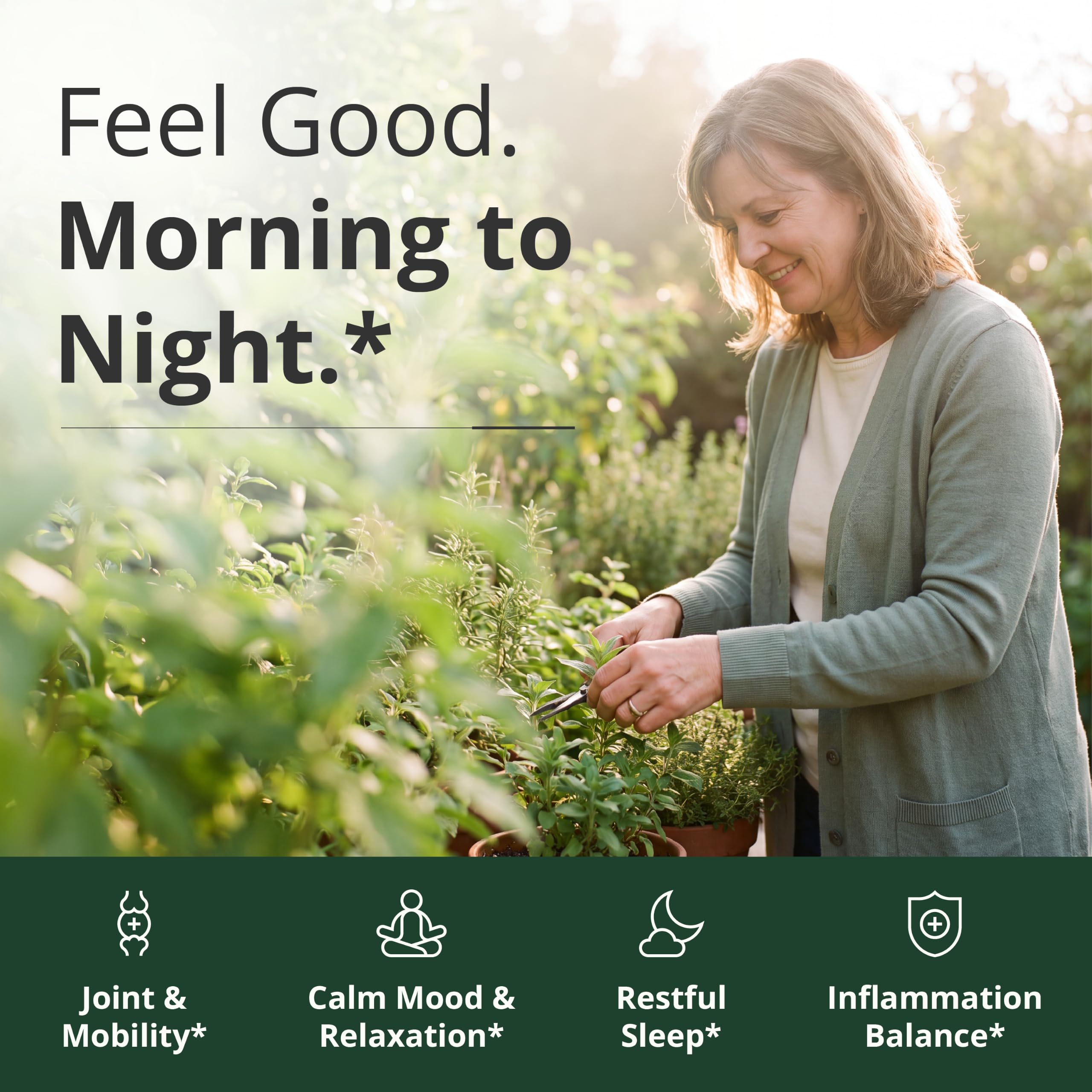 Vimerson Health cápsulas detalle que destaca textura vegana y fácil ingestión