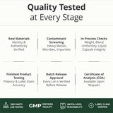 Vimerson Health en escritorio mostrando uso cotidiano para profesionales ocupados