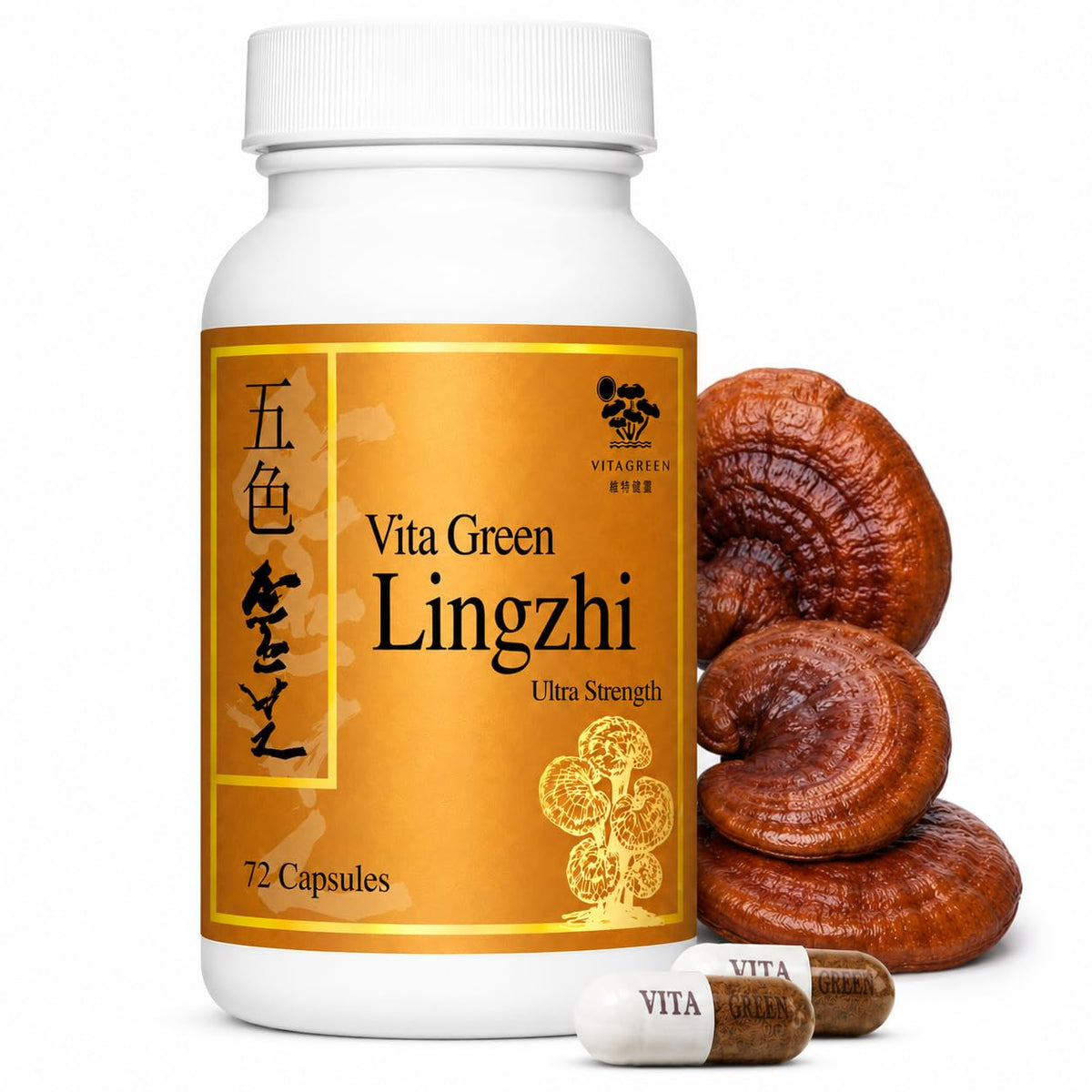 Vita Green frasco de Lingzhi 72 cápsulas, suplemento práctico para energía