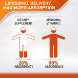 Vitablosom primer plano de la textura liposomal líquida para visualizar su consistencia y fácil mezcla