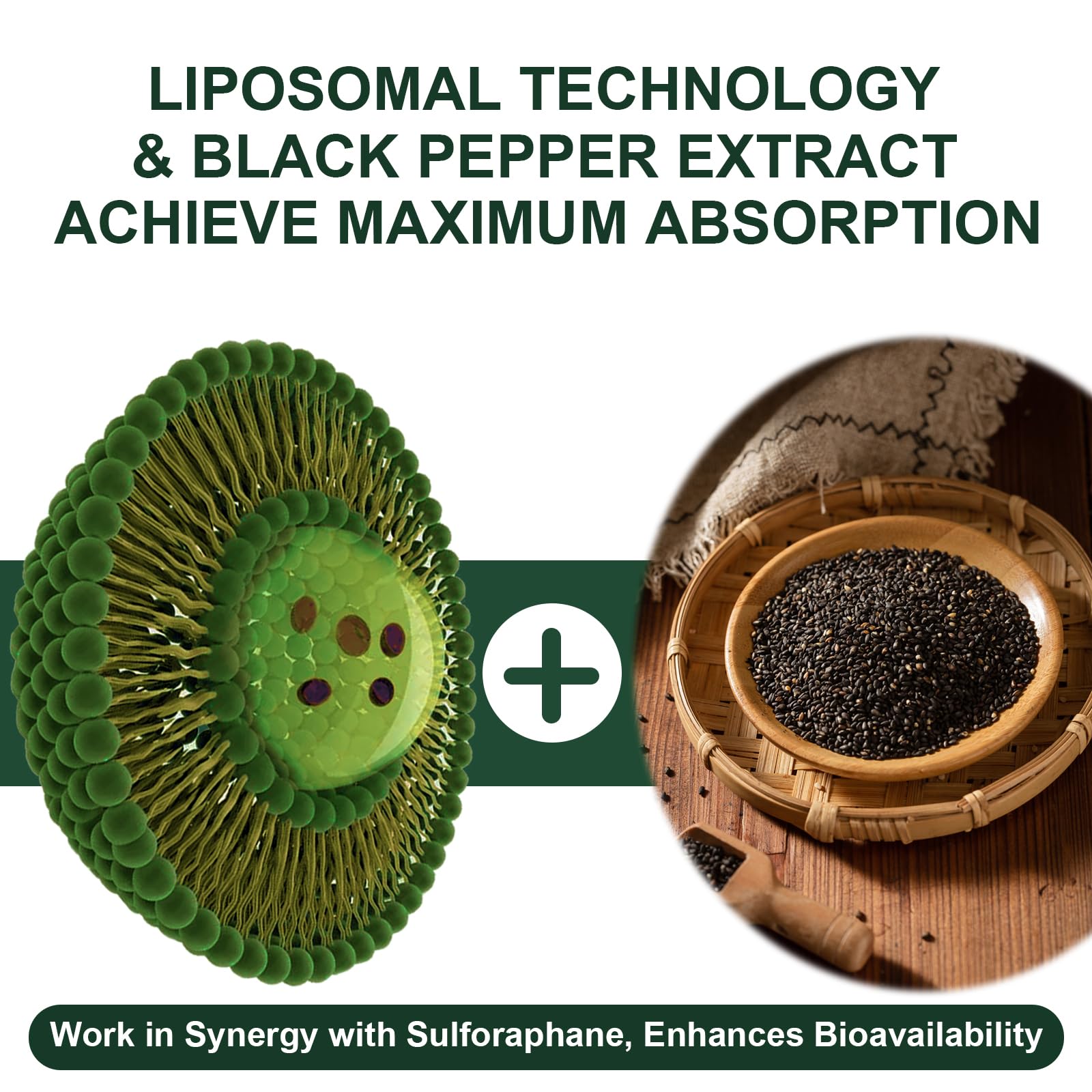 VITACRLLYNMN cápsula abierta con polvo liposomal para visualizar la formulación concentrada