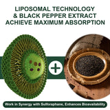 VITACRLLYNMN cápsula abierta con polvo liposomal para visualizar la formulación concentrada