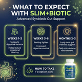 VitaFix lista de ingredientes mostrando cepas probióticas y prebióticos