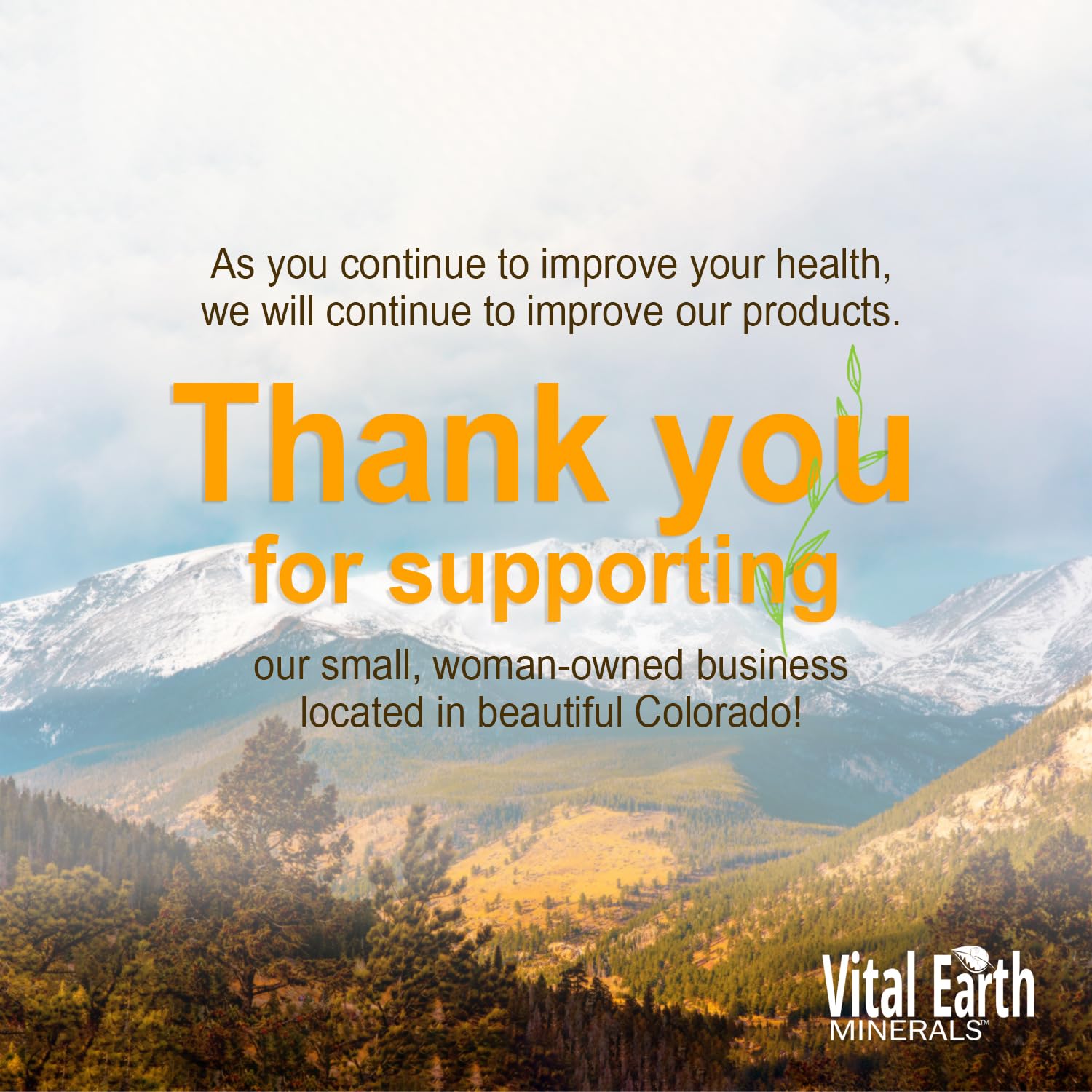 Vital Earth Minerals en cocina mostrando uso cotidiano y conveniencia