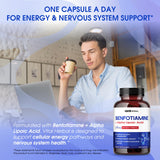 Vital Herbal cápsula en primer plano, enfoque en absorción y calidad