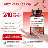 VITAL HERBAL ingredientes naturales como ashwagandha y cúrcuma ilustrando origen