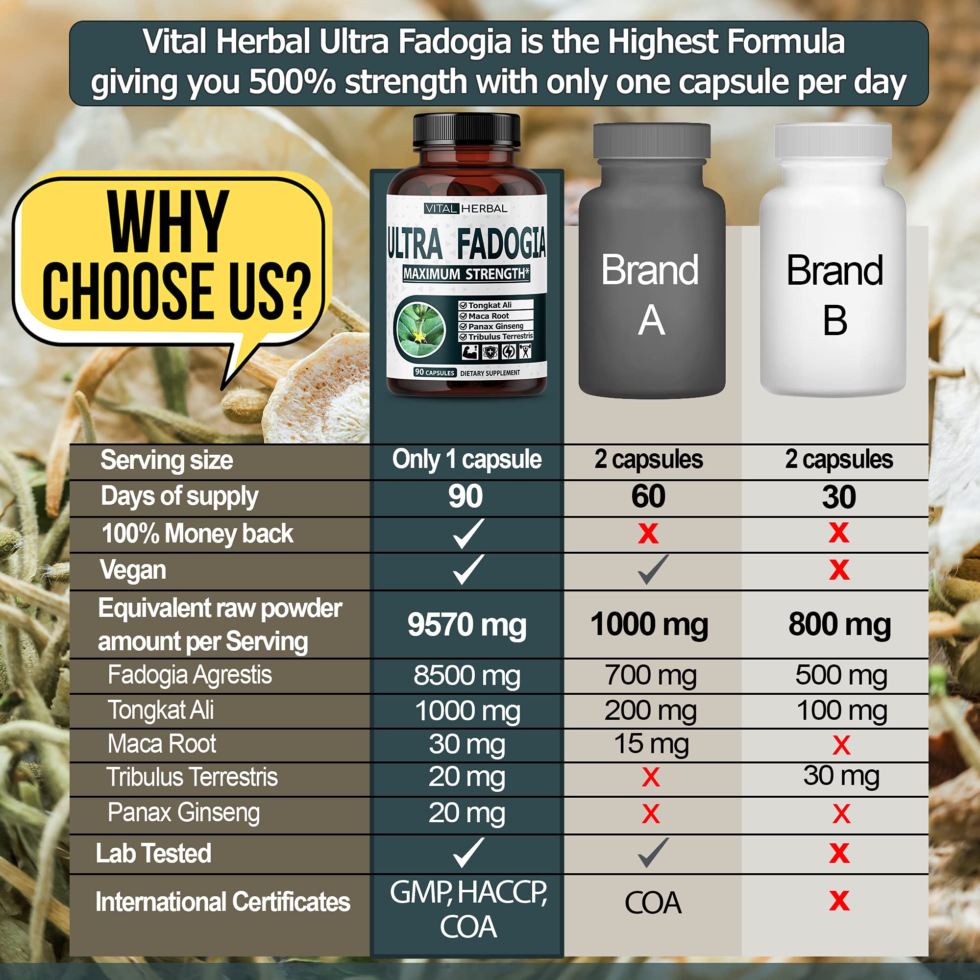 VITAL HERBAL textura en polvo de la mezcla herbaria, aspecto fino
