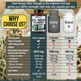 VITAL HERBAL textura en polvo de la mezcla herbaria, aspecto fino