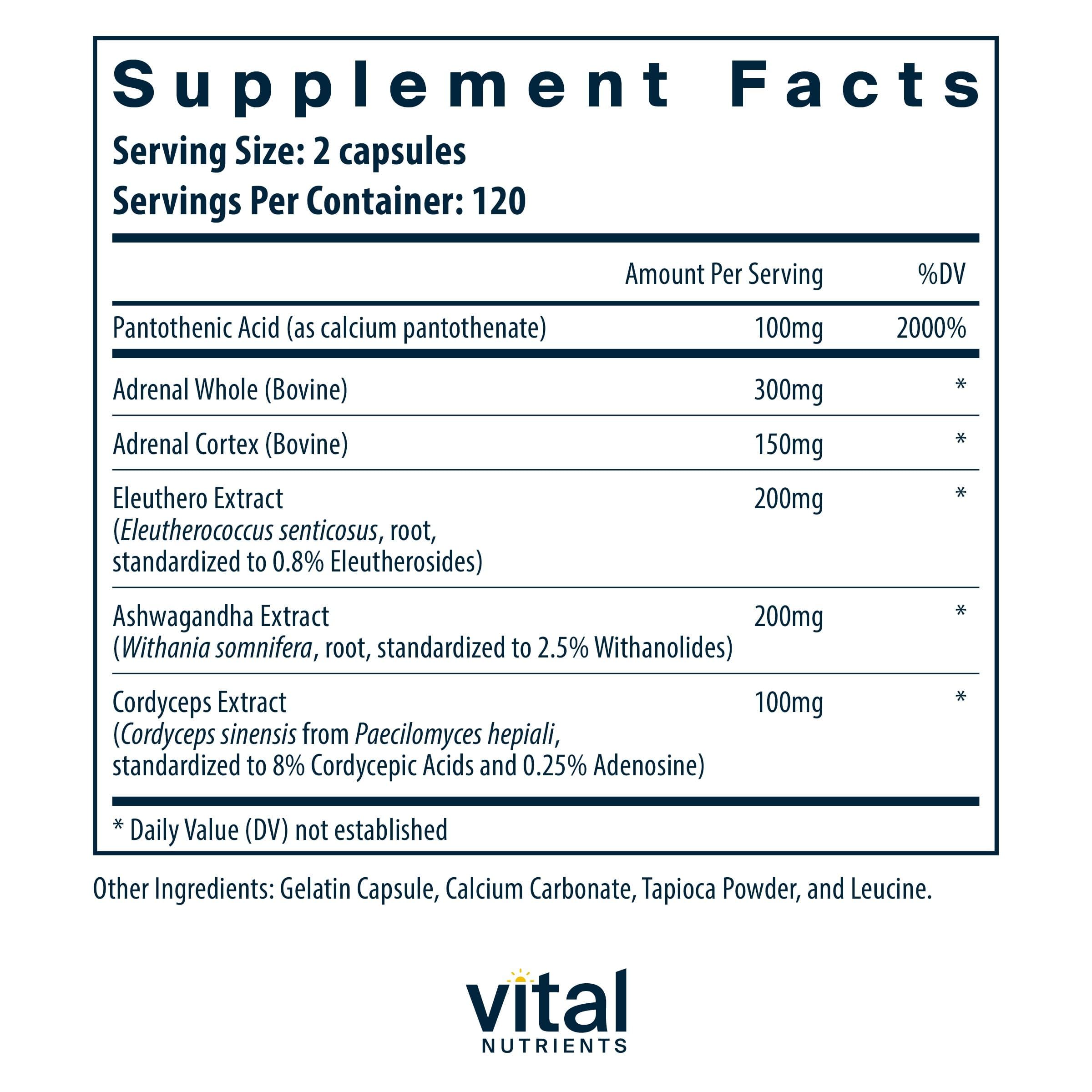 Vital Nutrients primer plano de cápsula destacando textura y pureza