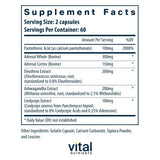 Vital Nutrients cápsulas apiladas destacando fácil ingestión y pureza