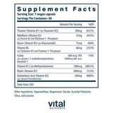 Vital Nutrients cápsula abierta para ver textura y pureza vegetal