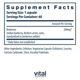 Vital Nutrients cápsula en primer plano que destaca fórmula limpia y vegana