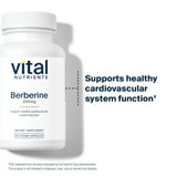 Vital Nutrients frasco en cocina estilo de vida apoyando rutinas saludables