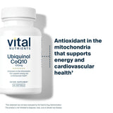 Vital Nutrients cápsula en mano para comparar tamaño y facilidad de uso