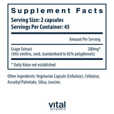 Vital Nutrients cápsula en primer plano destacando fácil ingestión