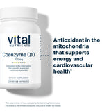 Vital Nutrients botella junto a regla para mostrar tamaño y cantidad