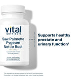 Vital Nutrients polvo del extracto para mostrar pureza y textura