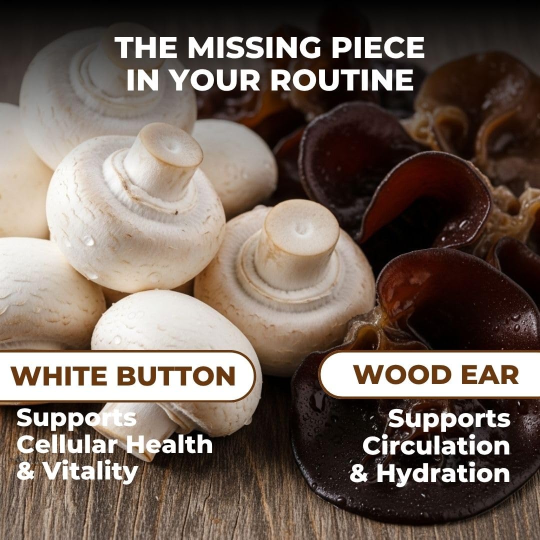 VITAL NUTRITIVE close-up Reishi y Cordyceps resaltando potencia natural