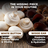 VITAL NUTRITIVE close-up Reishi y Cordyceps resaltando potencia natural