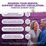 VITAL NUTRITIVE ingredientes clave ALA y CoQ10 para energía