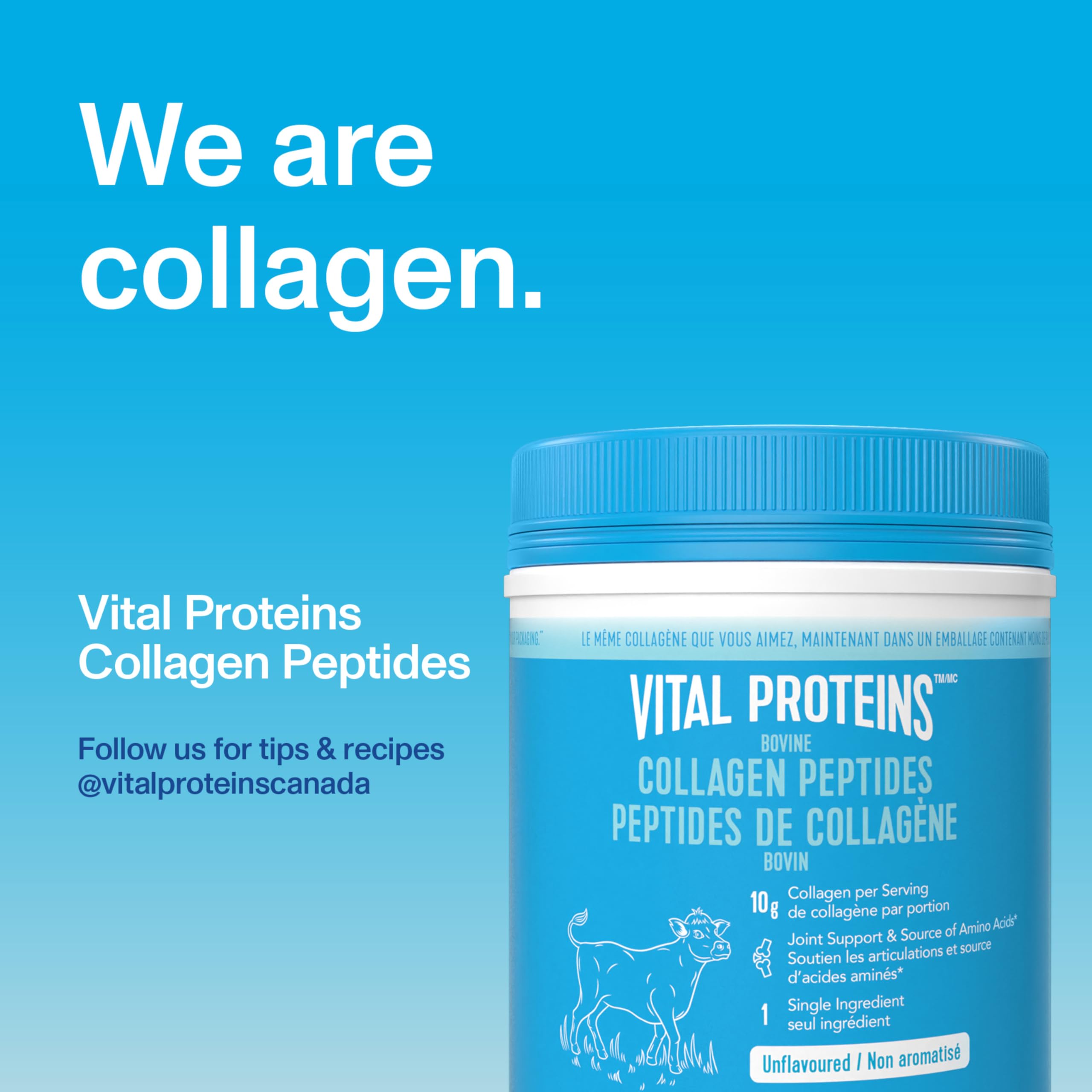 Vital Proteins añadido en avena para aumentar proteína sin cambiar gusto