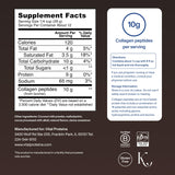 Vital Proteins polvo mocha en cuchara detalle de textura fácil disolución