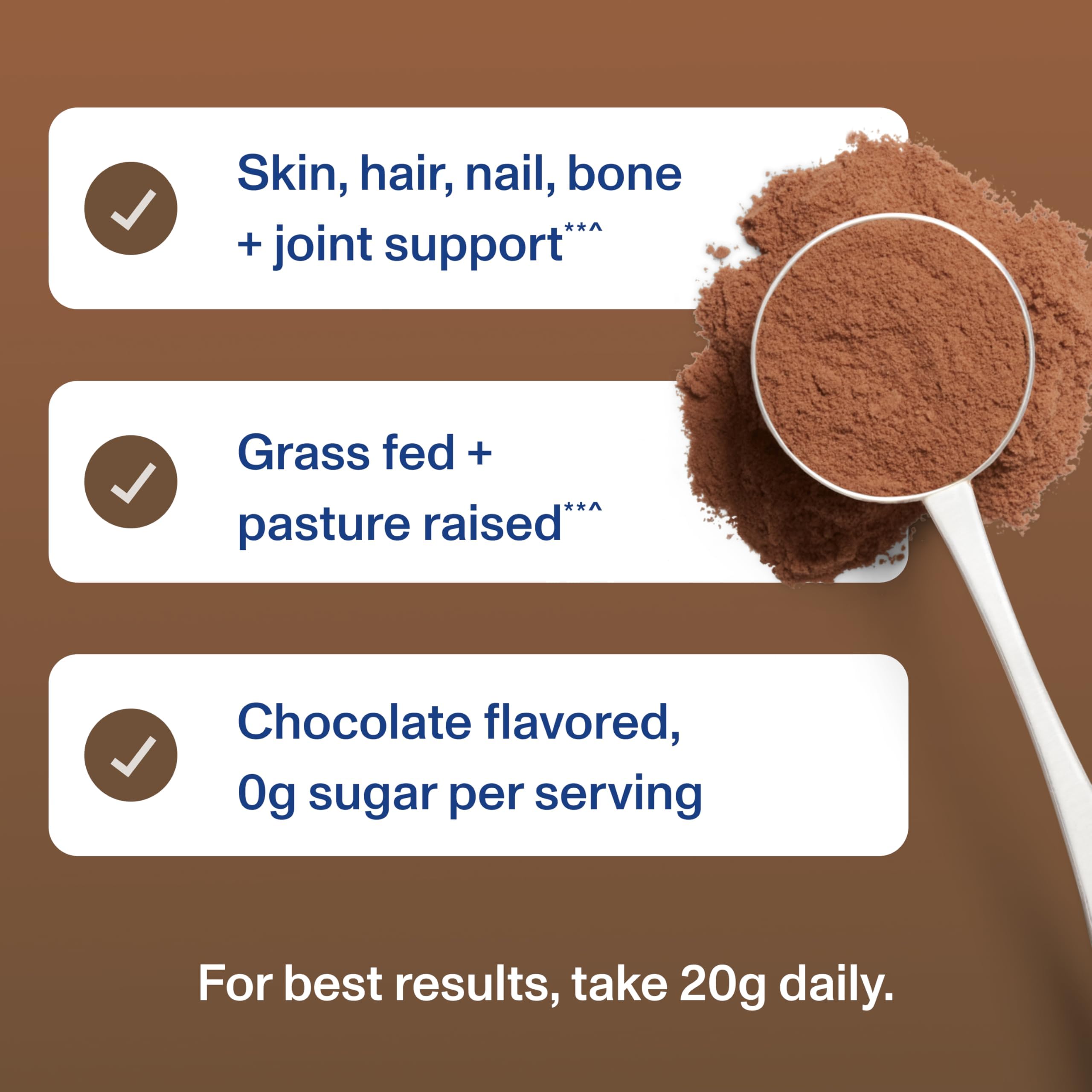 Vital Proteins batido matinal con fruta, aporte proteico y sabor chocolate