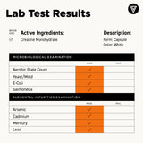 Vital Vitamins botella abierta con cápsulas, sugiriendo dosis portátil
