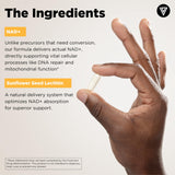 Vital Vitamins comparativa de tamaño del frasco junto a una mano