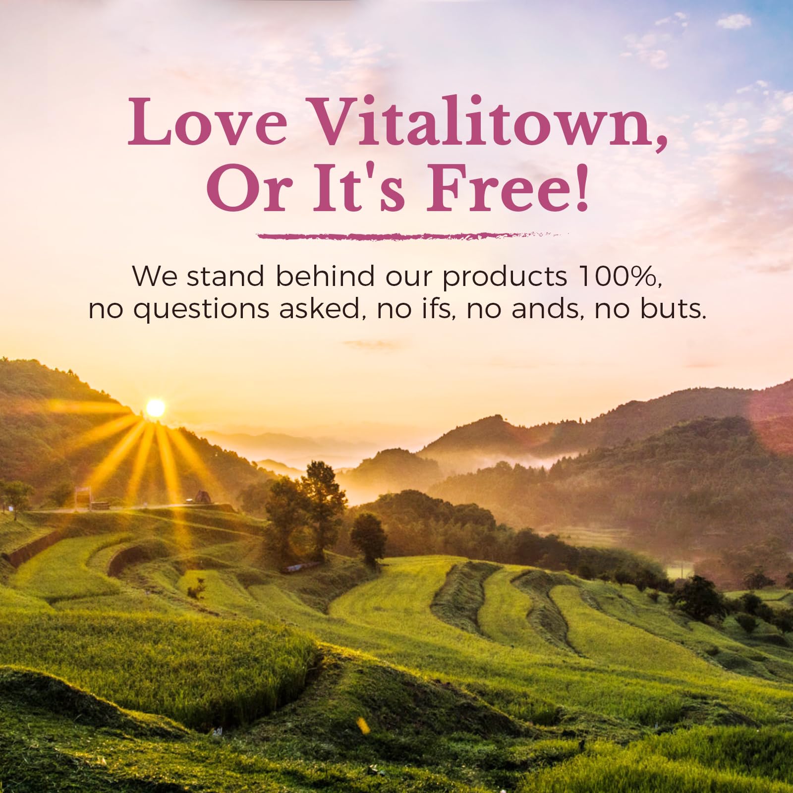 Vitalitown envase mostrando sello protector contra humedad y almacenamiento seguro