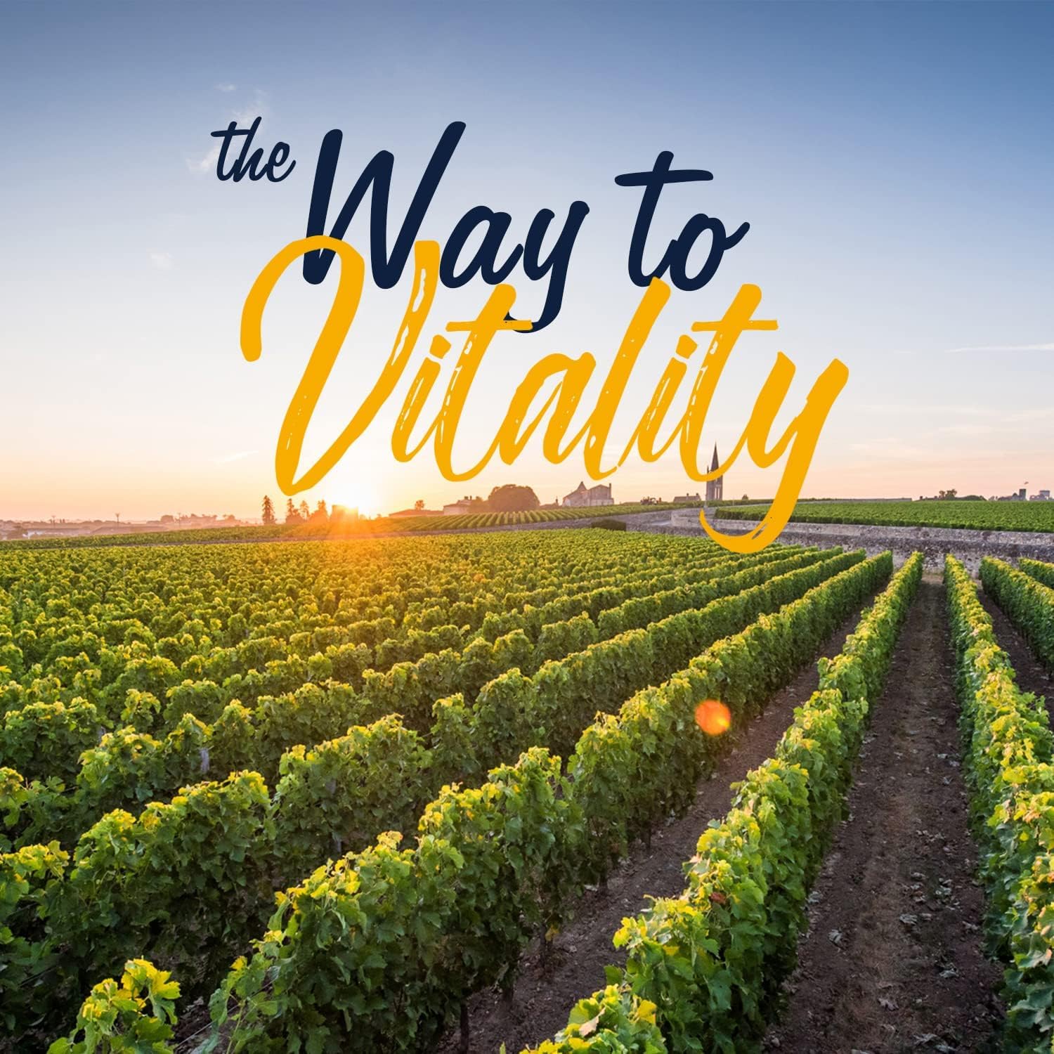Vitalitown ingredientes con arándano orgánico para salud urinaria