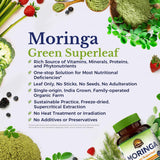 Vitalitown polvo de moringa concentrado mostrando color verde brillante