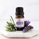 Vitality difusor en sala con aceite aporta ambiente relajante