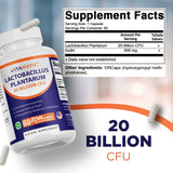 Vitamatic primer plano de cápsula DR mostrando textura y recubrimiento