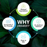 Vitamatic polvo disuelto en taza de té para una bebida vegetal y rutinaria