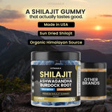 Vitamax ingredientes naturales dispuestos para ilustrar origen botánico y minerales