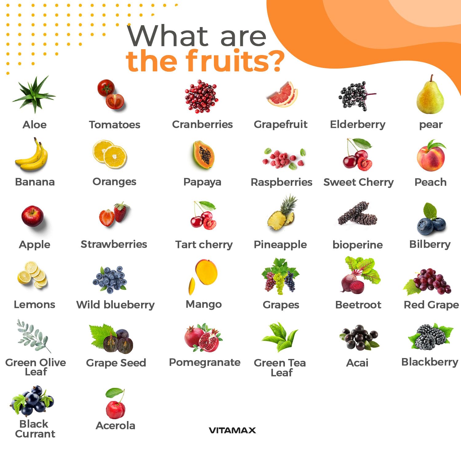 Vitamax ingredientes liofilizados cerca, preservación de nutrientes y antioxidantes