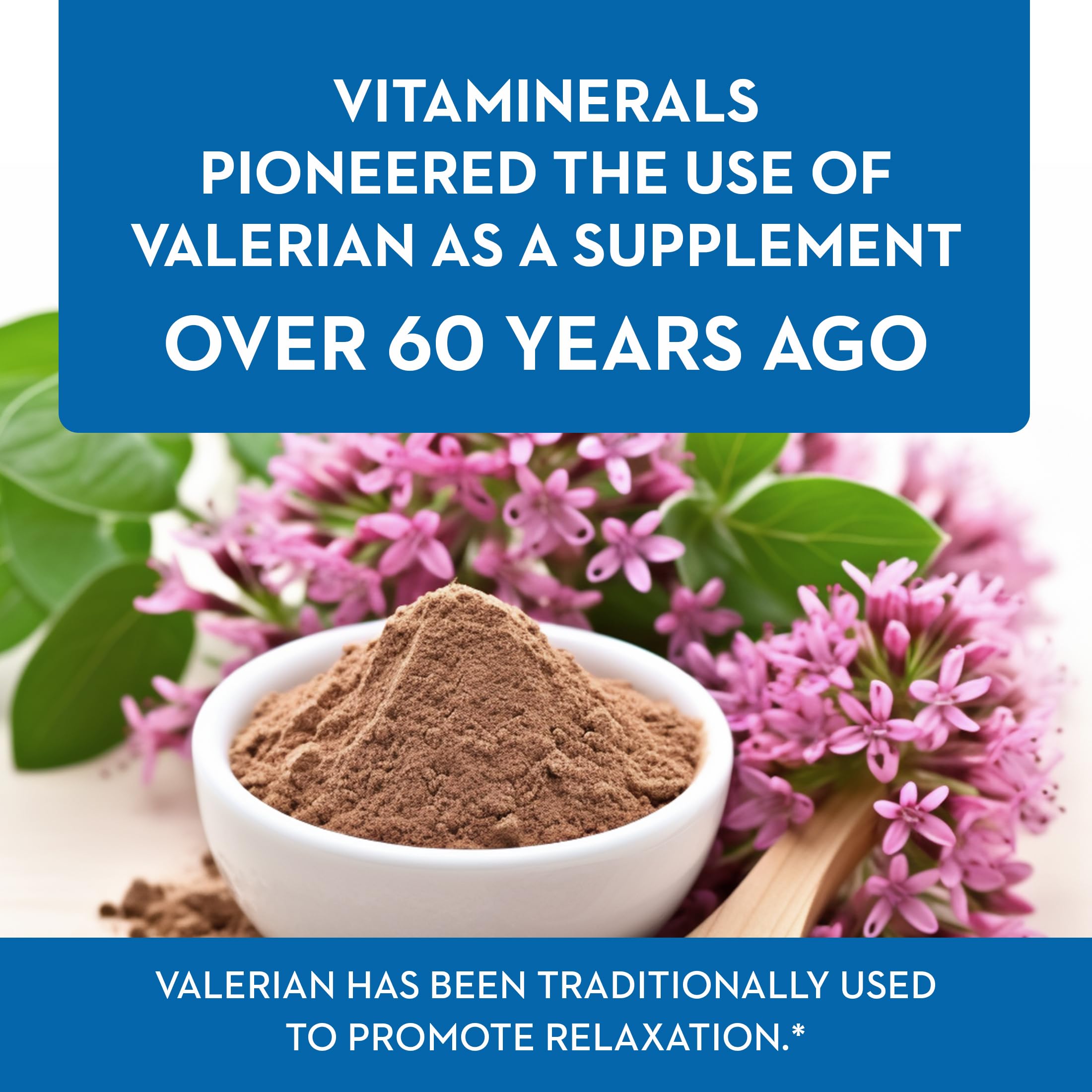Detalle de la etiqueta con ingredientes de Vitaminerals Baldrian® Plus; beneficio: transparencia de composición.