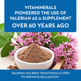 Detalle de la etiqueta con ingredientes de Vitaminerals Baldrian® Plus; beneficio: transparencia de composición.