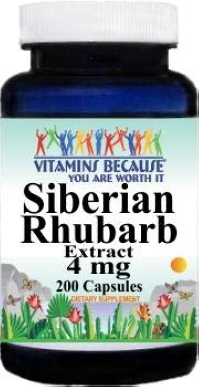 Vitamins Because frasco frontal con 200 cápsulas mostrando etiqueta y cantidad
