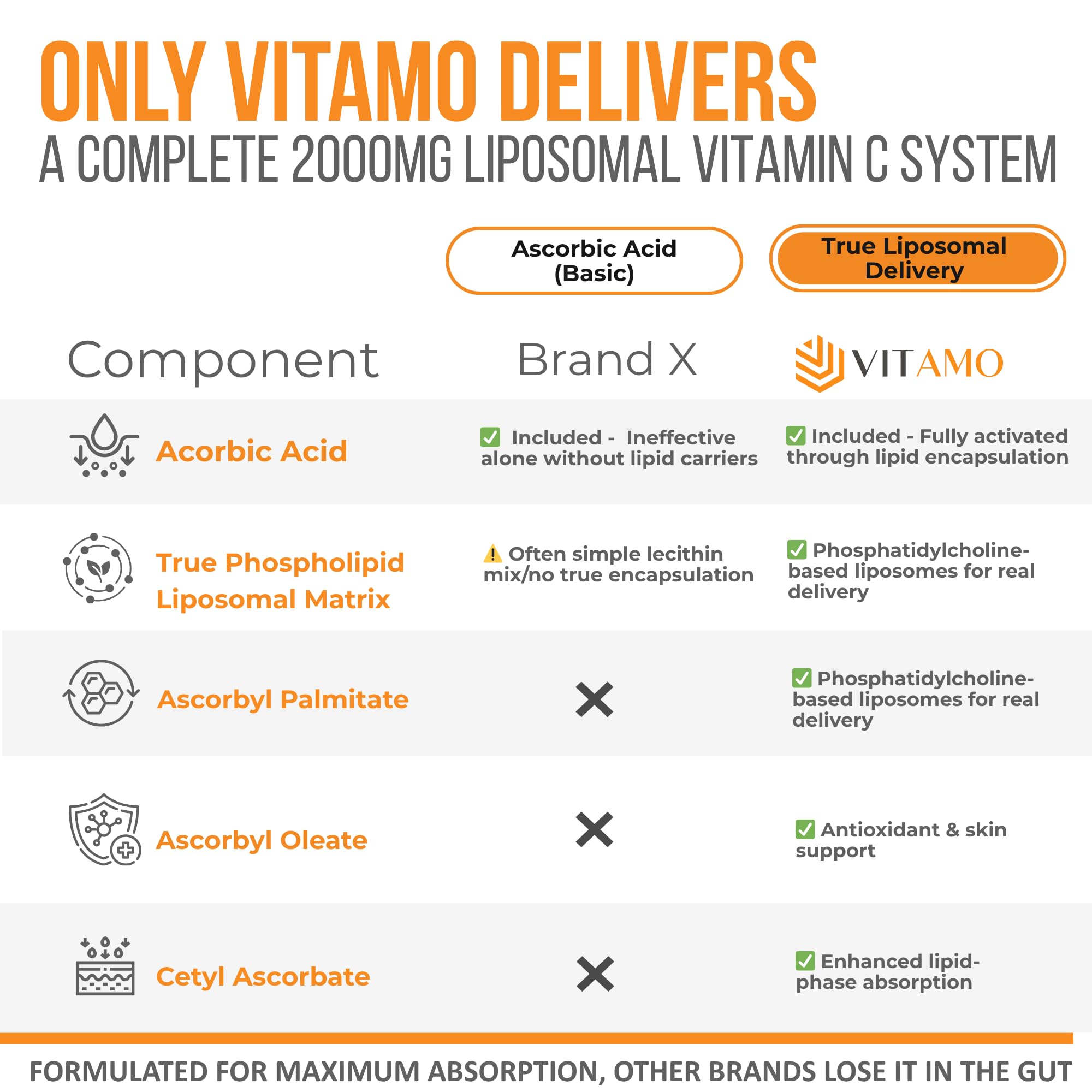 Vitamo cápsulas abiertas con contenido liposomal y visual de absorción mejorada