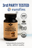 Vitamyco raíz del hongo Tiger Milk Mushroom ilustrando origen natural auténtico