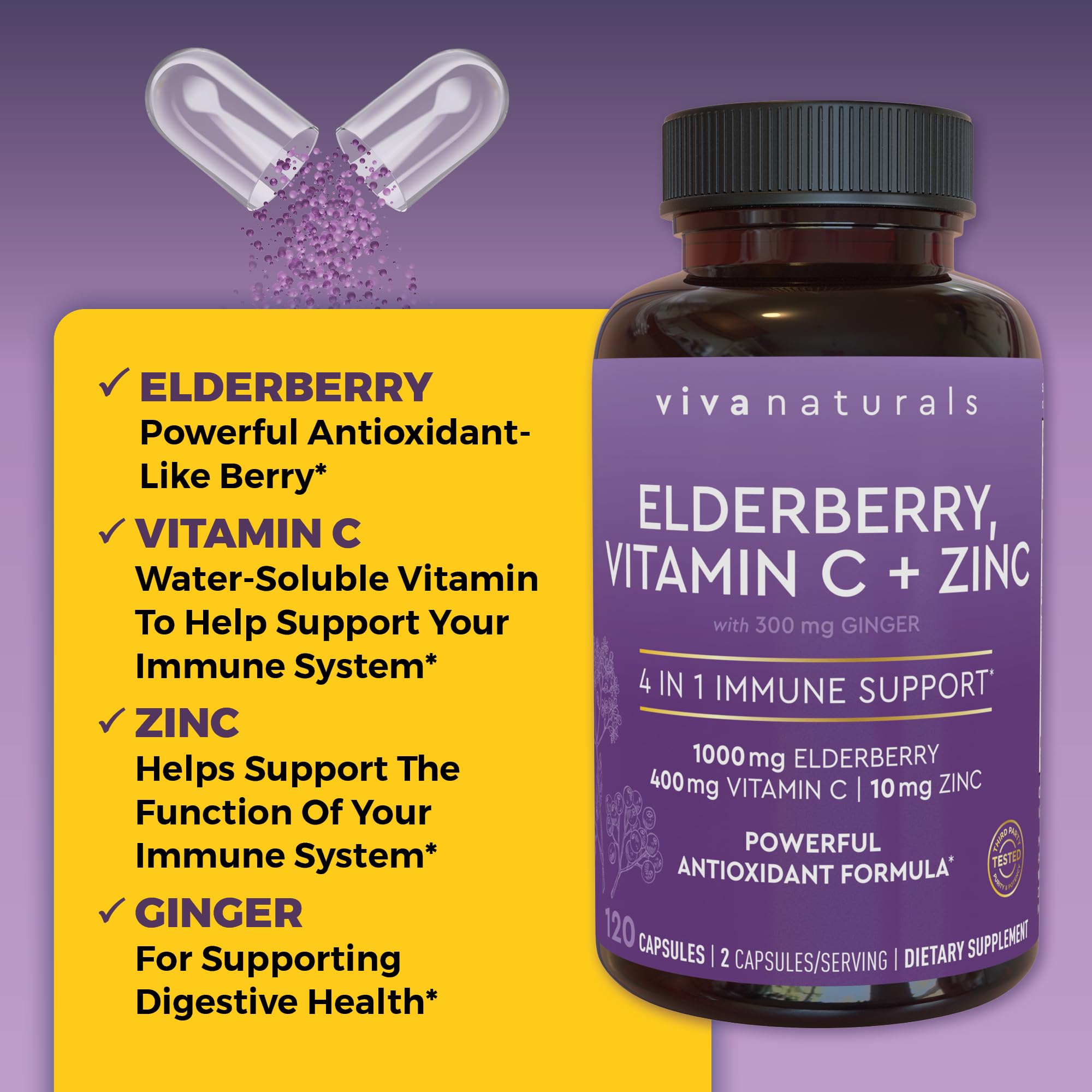 Viva Naturals ingredientes agrupados con jengibre, vitamina C y zinc visibles