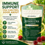 VivaMelhor composición de ingredientes con kombucha y prebióticos visibles